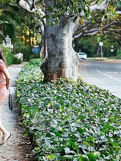 Girlfriends come home after shopping and pay attention to asslic