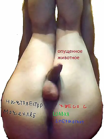 Слуга Дубровского и Рауфа