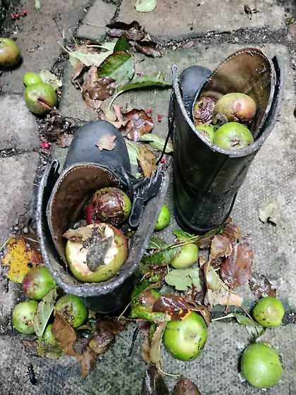 Skinhead boots apples bondage cbt