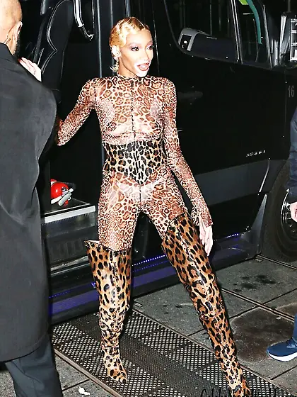 Winnie Harlow See Through