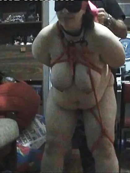 restrained trained and taken