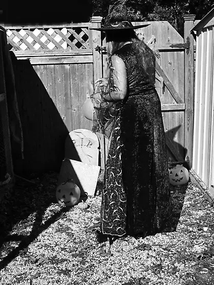 Cougar Moon Aynjl from United States Halloween