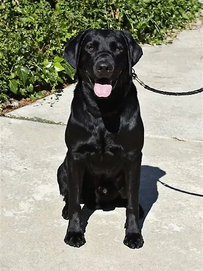 Pics of me and my daughter also