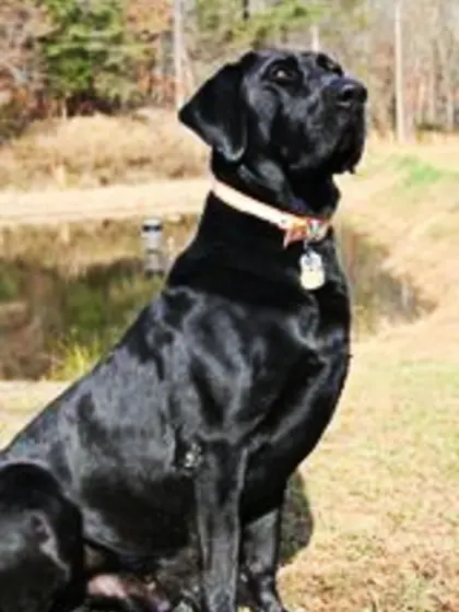 Pics of me and my daughter also