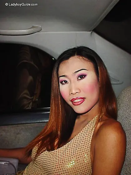 Asian tranny fucked by a bold guy