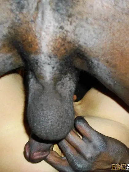 My Wife loves BBC sex. Cuckold wives are the best.
