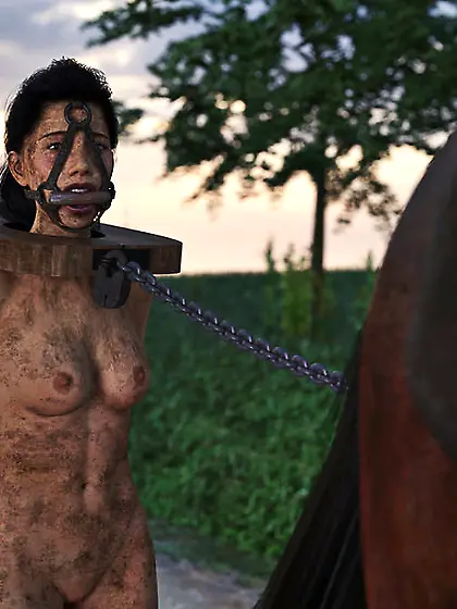 Muslim World Order 225