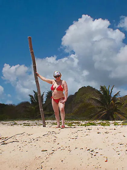 BBW Flashing Speedy Bee from United Kingdom