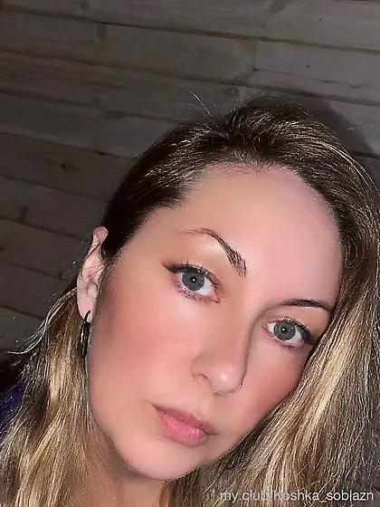 Koshka soblasn Free Photos