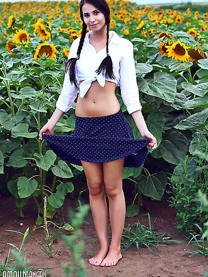 Vanessa Sky shows off her skinny ass naked in the sunflowers