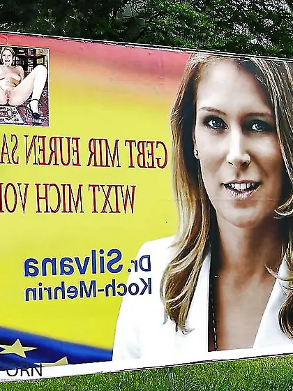 Promi-Wichsvorlagen (celebs) IV - Silvana Koch-Mehrin