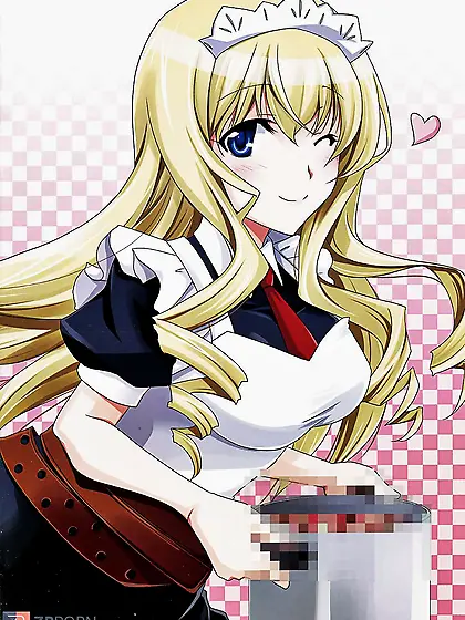 Lesson! (Infinite Stratos)