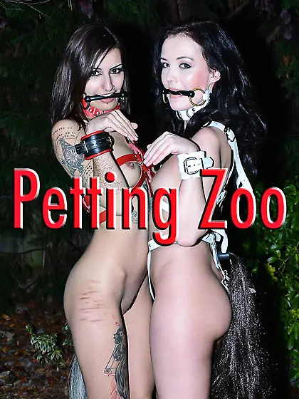 Petting zoo