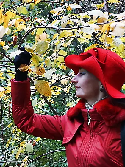 Red and Yellow (Fall Album)