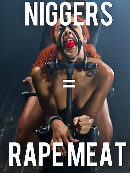 Niggers know their places