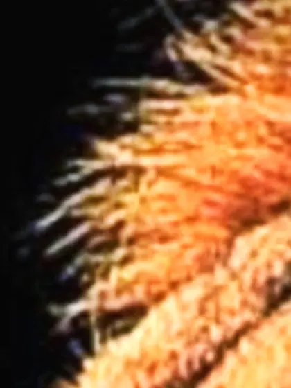 White milf small tits