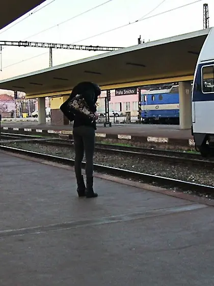Chic brunette grey pants