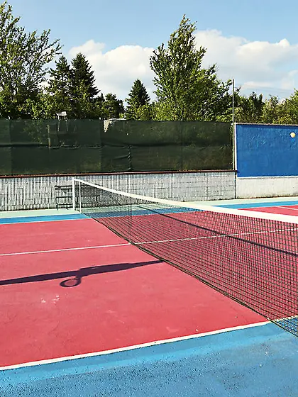 Blonde brunette pigtailed tennis