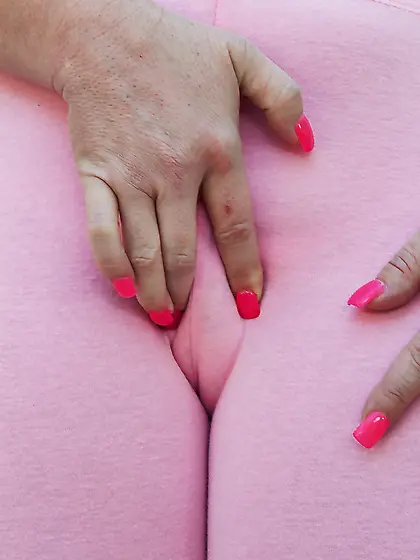 American short hair brunette