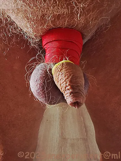 bondage on c+b with 1cm wide plastic band - 3D3B1