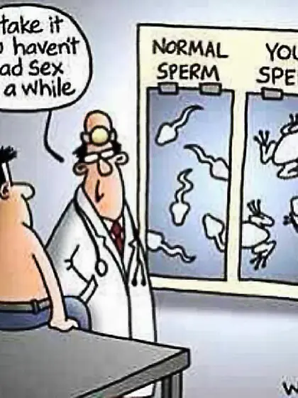 Sexy and funny toons