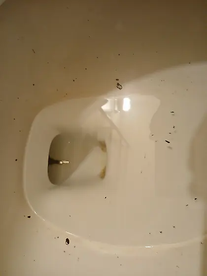 Sissy slave locked forever