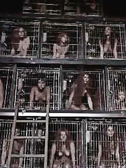 Artgerechte Haltung,  von Nutzfotzen