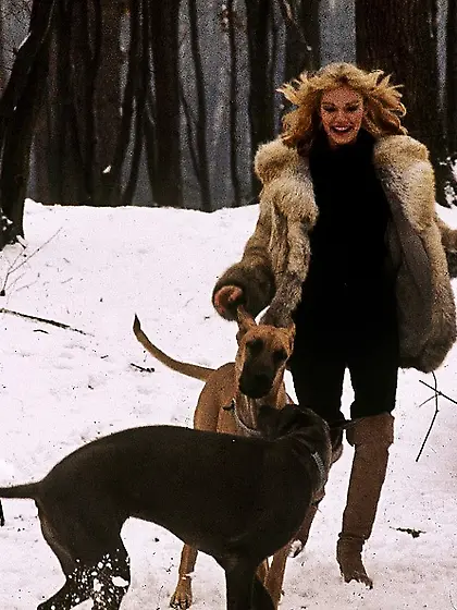 Stunning babe wearing brown