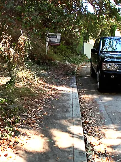 Ariella Ferrera sucking a big erect dick and gets it up her nast