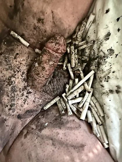 Submissive sissy faggot ashtray and toilet.