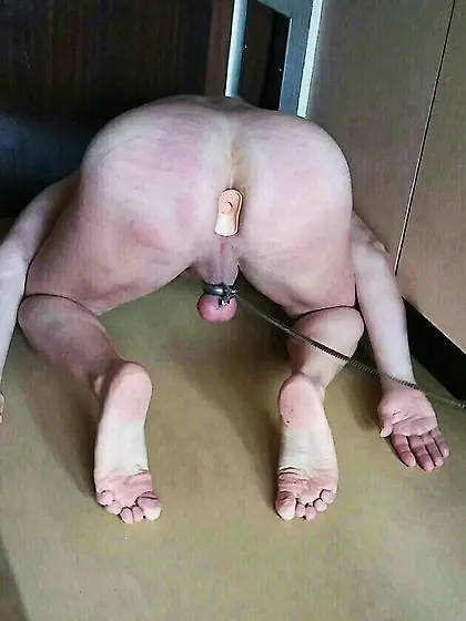 shaved head, public humiliation, piss for faggots