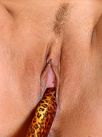 Nasty curly blonde Jessika Lux pleasing herself with a leopard d