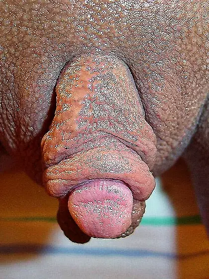big pussy lips