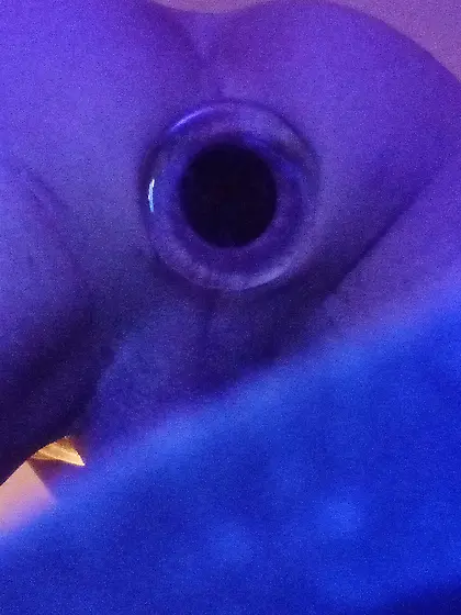 There is allot more, ...  dissobay me more plz