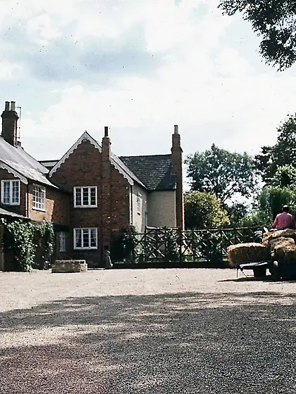 Gorgeous chick wearing red