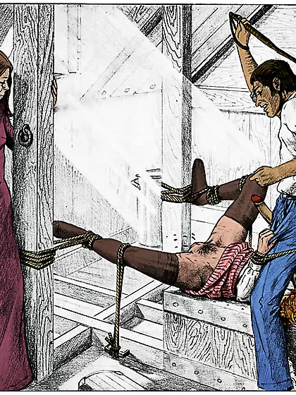 Whipped on the pussy (by Farrel). Colorized.