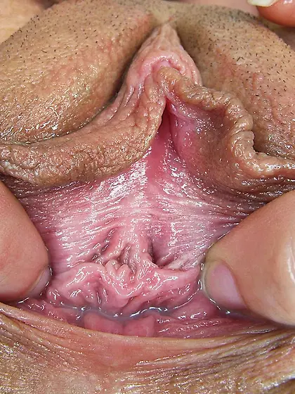 big pussy lips