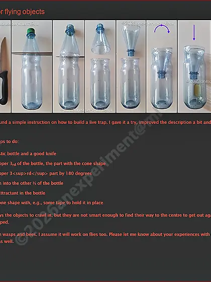 How to Build an Insect Trap from a Bottle - 385FD