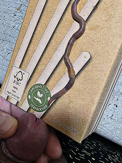 My cock was so ready for that.