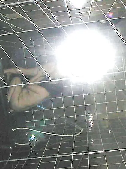 The wifey loved the hubby elsewhere