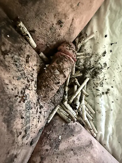 Submissive sissy faggot ashtray and toilet.