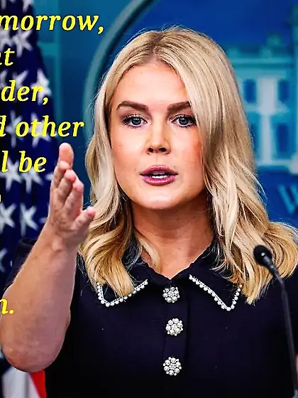 Hottest Fascist Since Lisa She, Wolf Of The SS