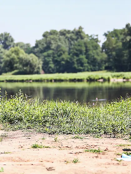 Viktoria Sweet is in the outdoors getting her pussy busted up in