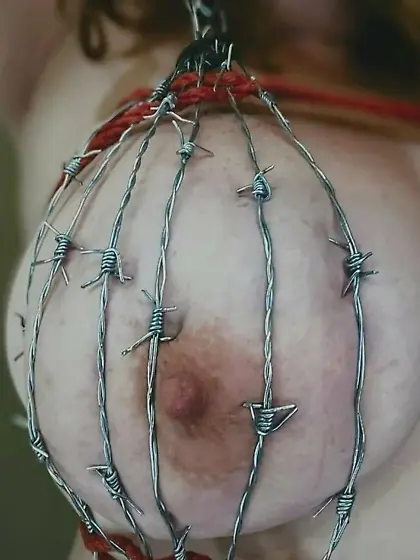 The Kitten Natividad situation