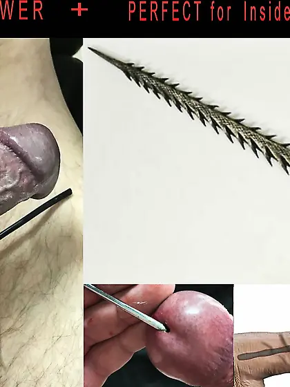 Penectomy Fantasie für meinen Schwanz 1