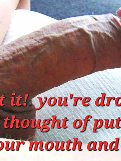 Family album cuck style