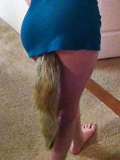 I enjoy ultra-cute nymph pets with tails