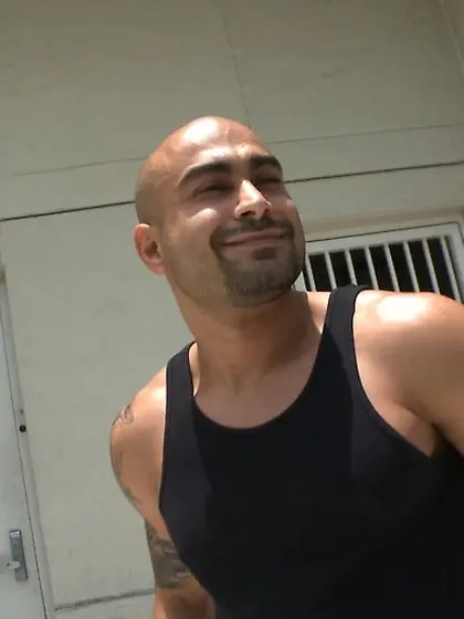 Type of ass