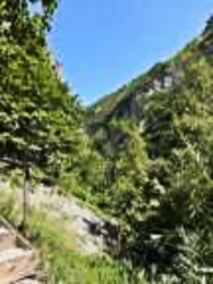 u/petitebutterface u/tinypeachpuff u/ peachpuff