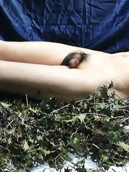 柊の葉の棘に感じている